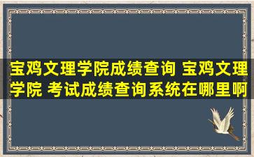 宝鸡文理学院成绩查询 宝鸡文理学院 考试成绩查询系统在哪里啊